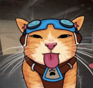 Kattalyst tweet media