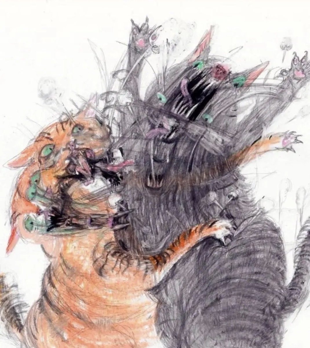 찌부리콩 tweet media