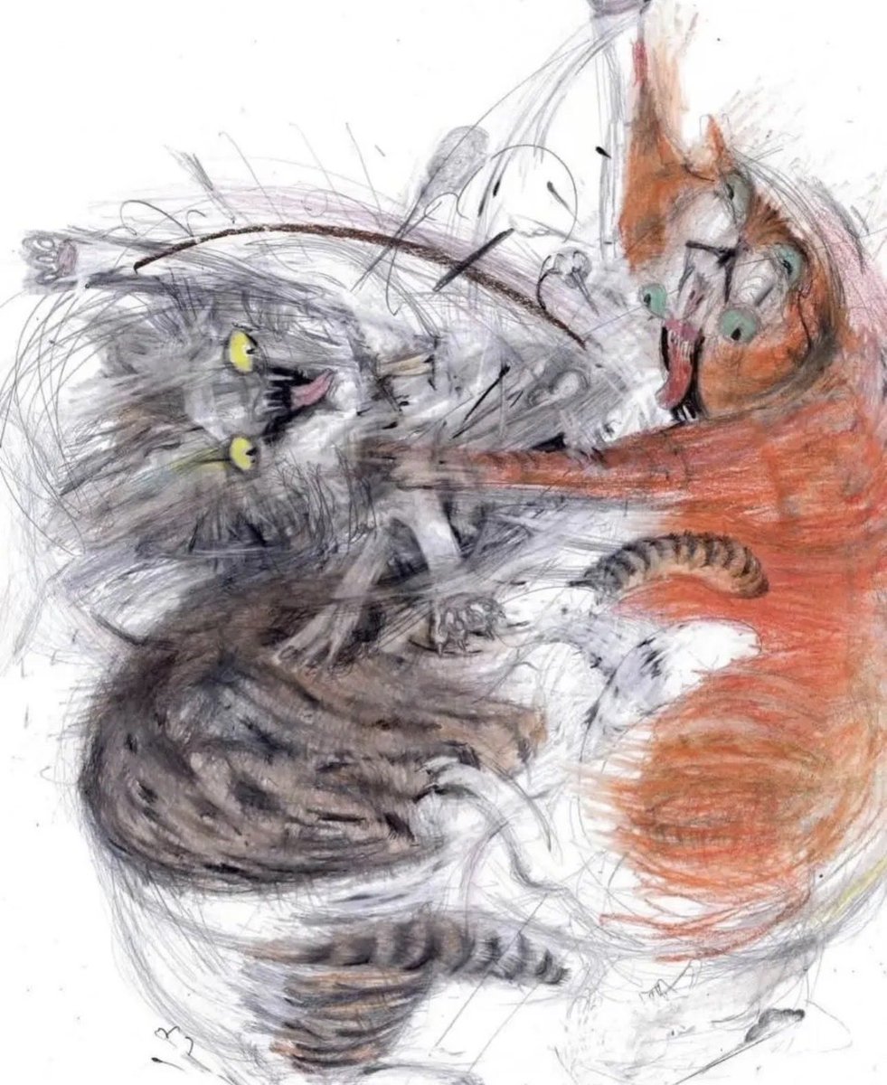 찌부리콩 tweet media