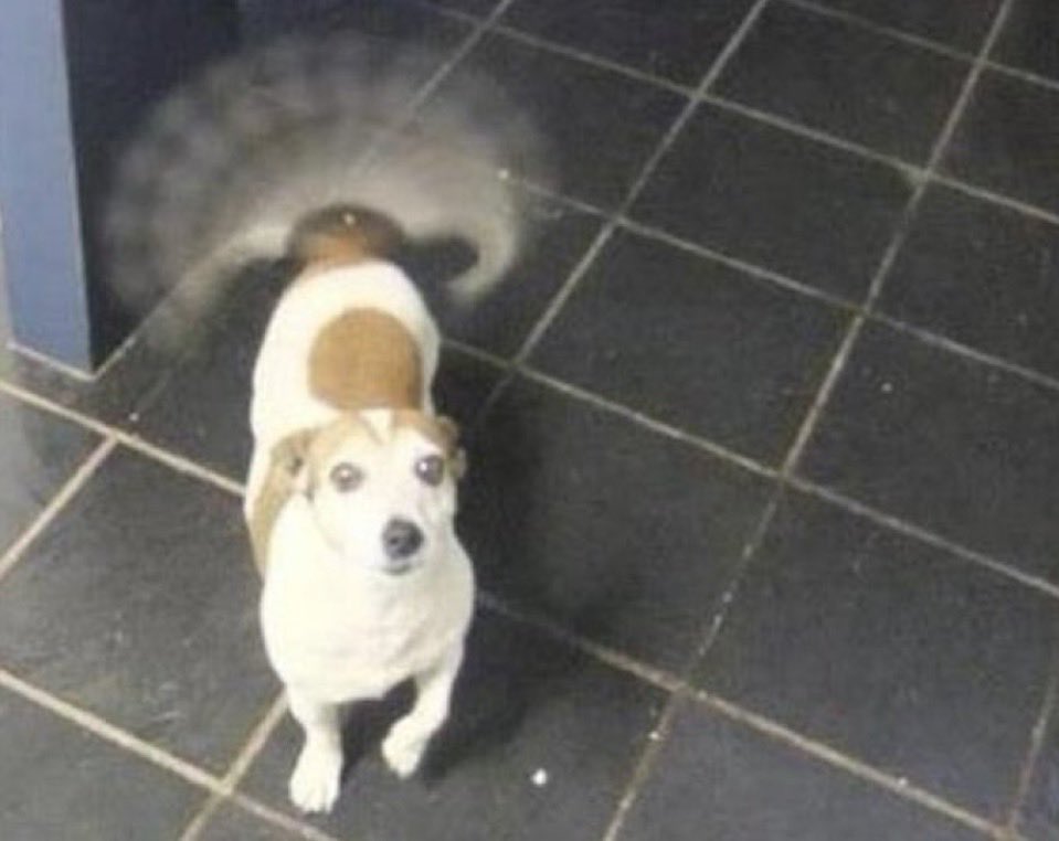 来週日本のアイドルの来韓コンサートに行きます.... 大好きな人がもらう愛の中で私の愛が一番小さかったらいいな(〃ω〃)