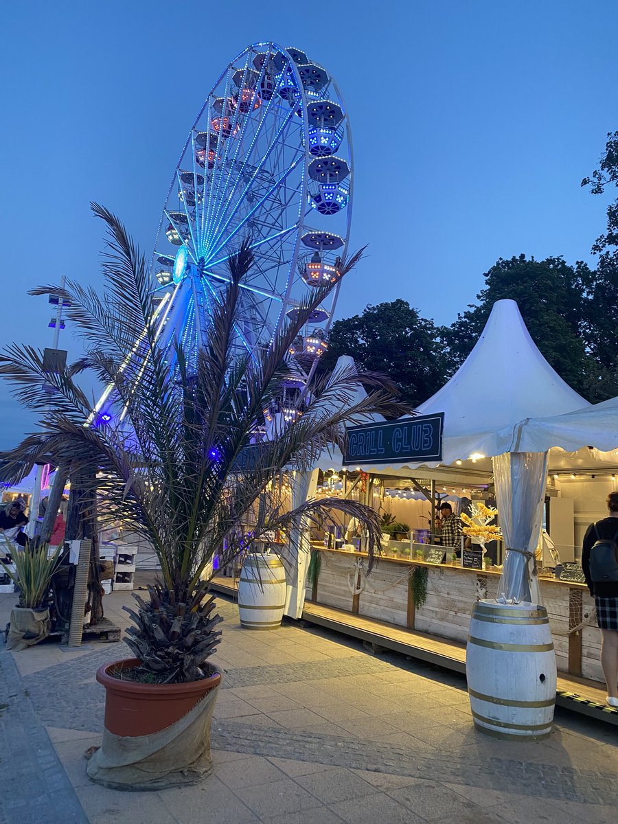 | elyndra | tweet media