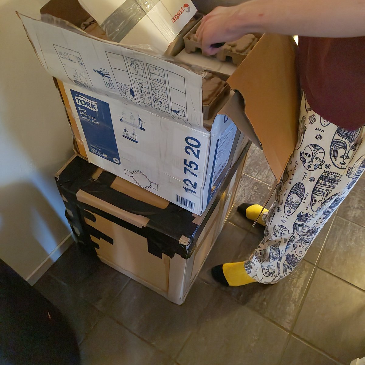 Jester🇳🇴🔜PAWSKE🇳🇴, Furway🇧🇻, EF🇩🇪 tweet media