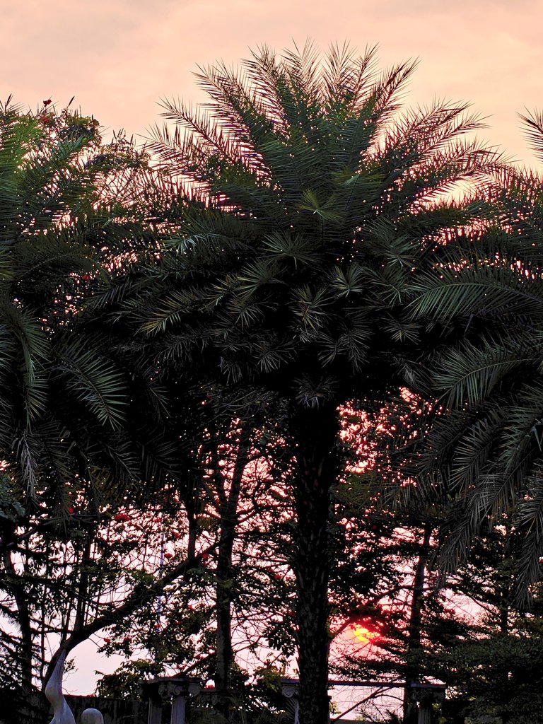 ManishJohari8's tweet image. To new beginnings 🌅 
NavVarsh, Chaitra Navratri, Gudi Padva evam Ugadi ki Shubhkamnaye 🙏🏻 
Happy Festivities 🎊🎊🎊
Happy #NewYear 
#GudiPadva #Ugadi #Navratri #MJ_hues
#theme_pic_India_culture
#theme_pic_india_festivals