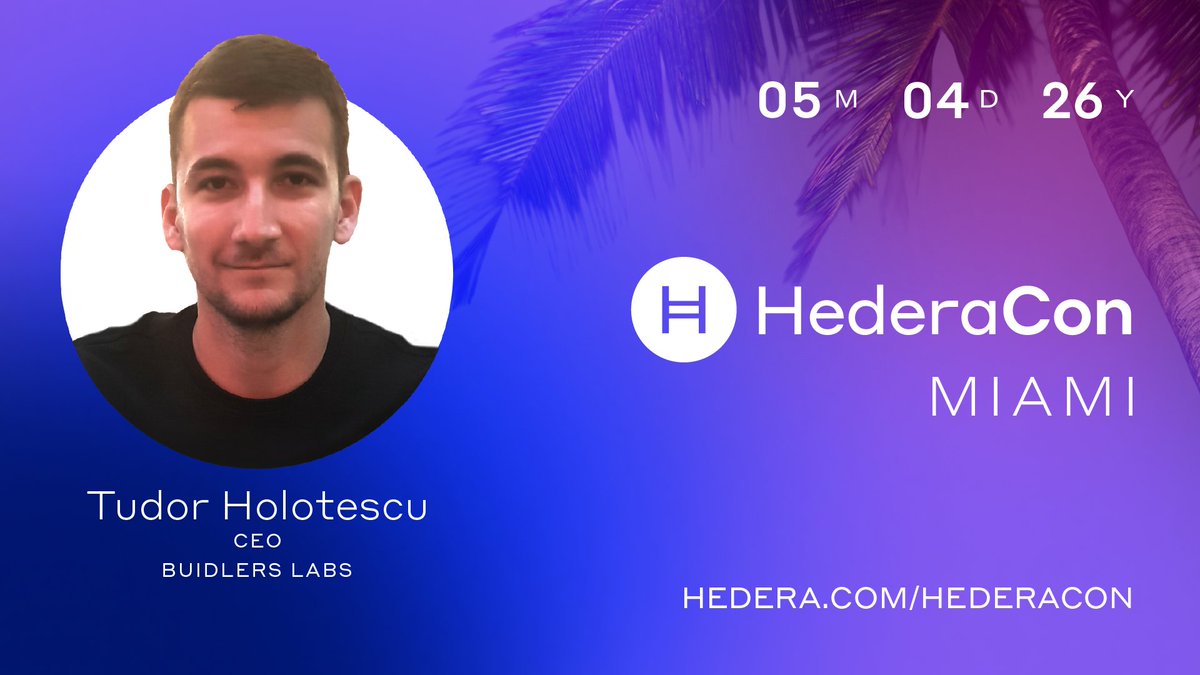 Tudor Holo tweet media