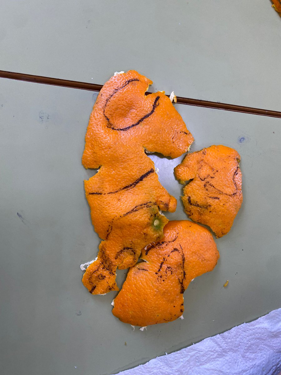 IES Manuel de Falla tweet media