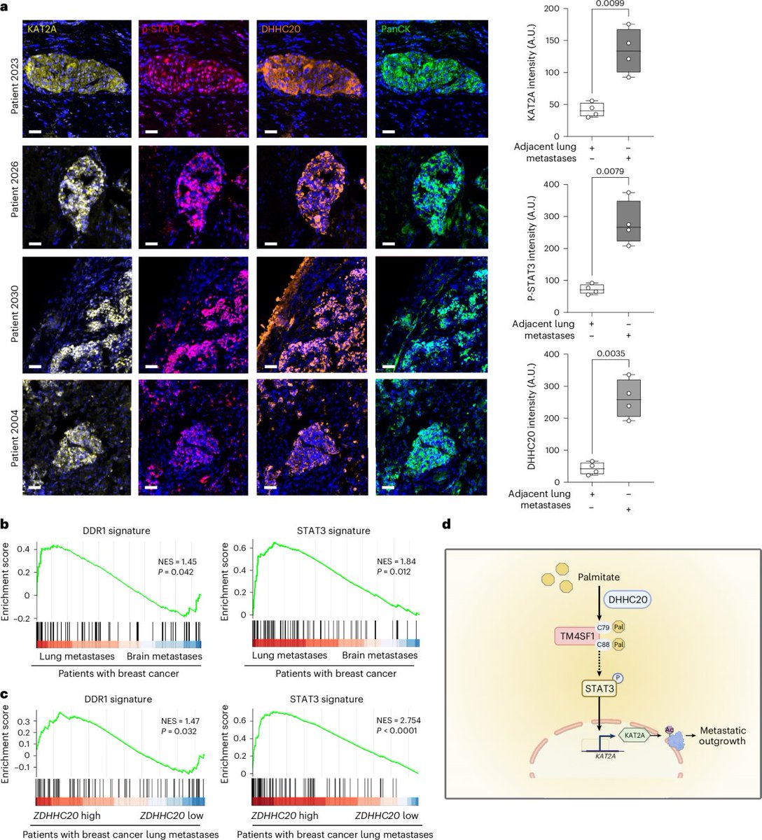 Epigenome Technologies Inc. tweet media