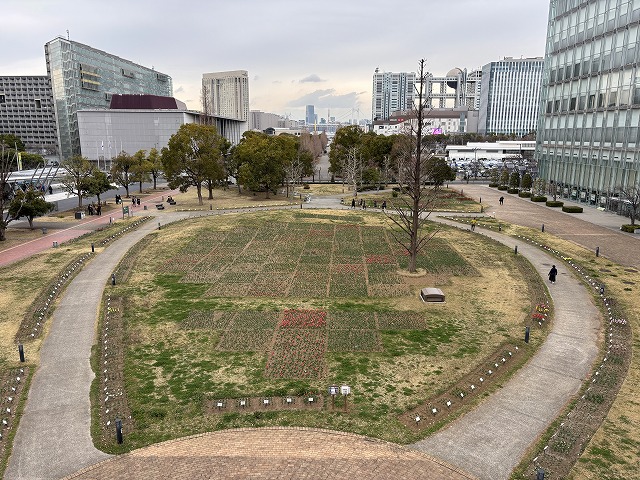 tptckoen's tweet photo. こんばんは♪
チューリップフェスティバルに向け、日々成長しています！今日は300種見本園の高さ10m越えからの写真です！
本番は3月28日（土）🌷　是非皆さんお越しください🌸
https://t.co/EsBopztr9s
開花情報：https://t.co/J7gae7NvEF
#チューリップ　＃お台場 https://t.co/SP4S4qqrTP
