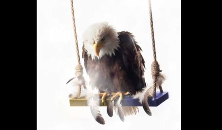 slim shady#NoaLangSevgisi tweet media