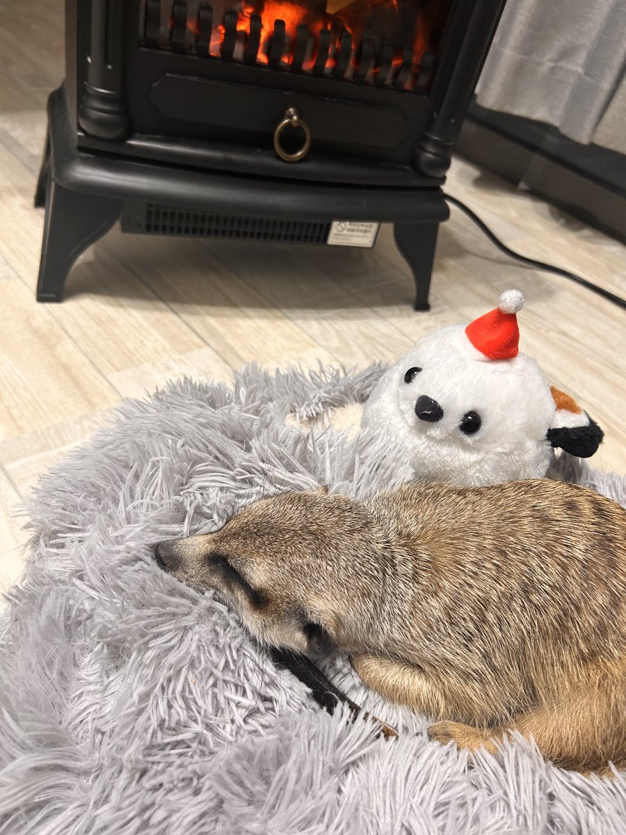 喉風邪でダウンしております！
2,3日収録見合わせをさせていただきます🙇
ご迷惑をおかけします。。