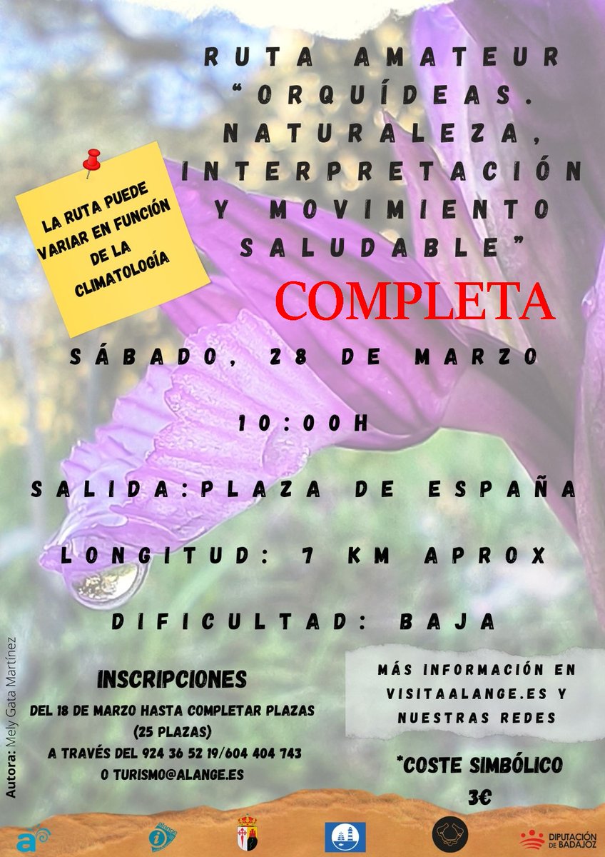 Turismo de Alange tweet media