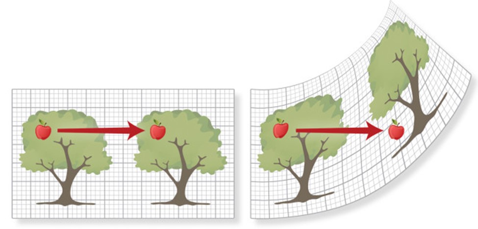 סקרנצ'וק tweet media