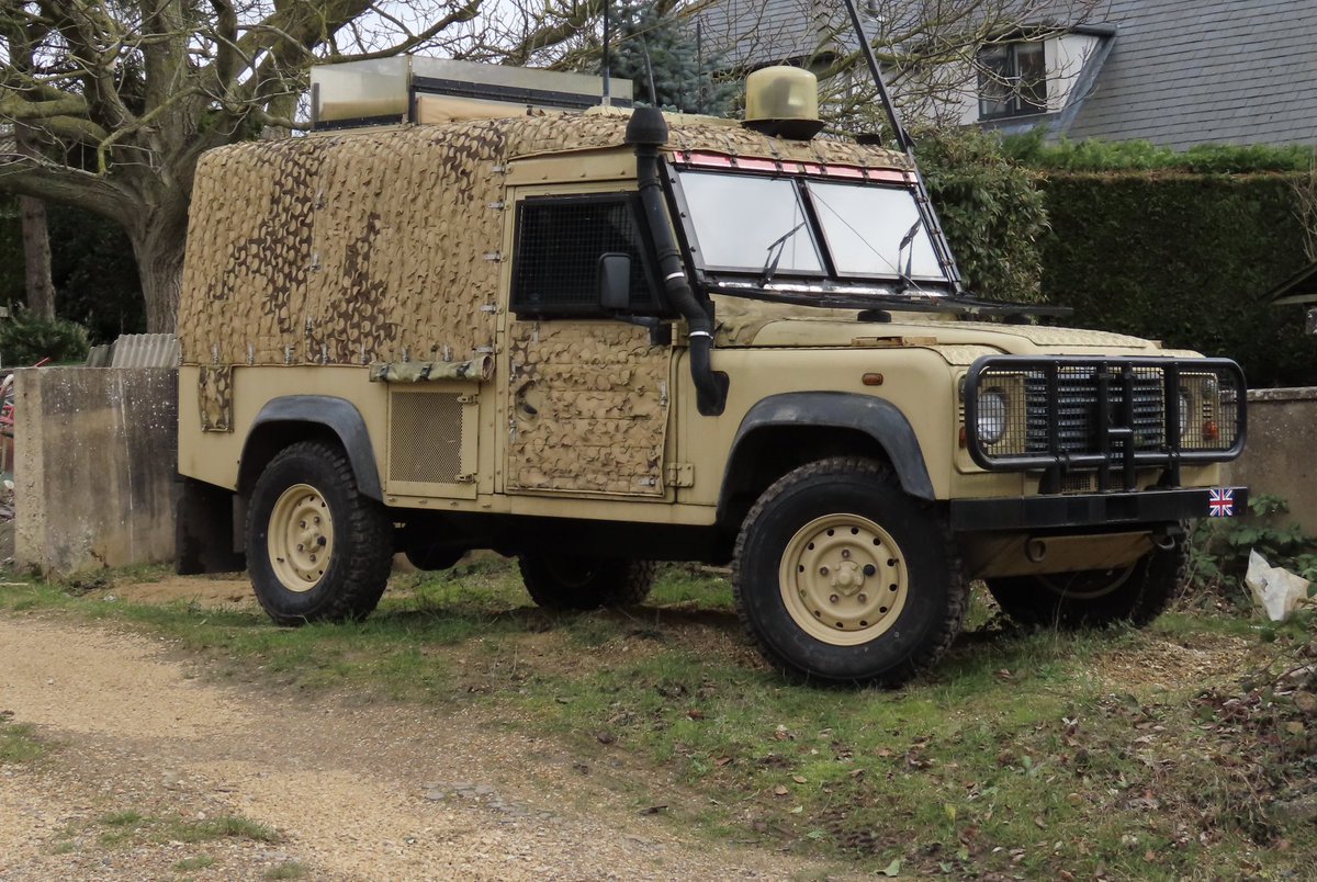 GillianS tweet media