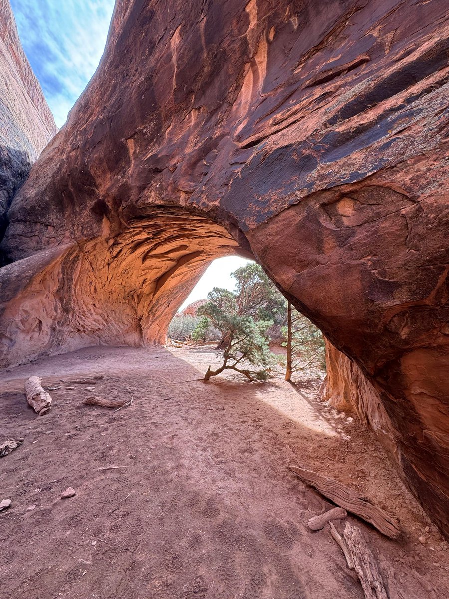 MESSAI_Bill tweet media