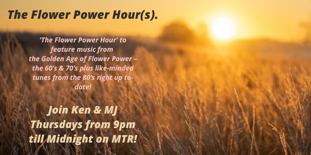 🎙 Mystery Train Radio tweet media