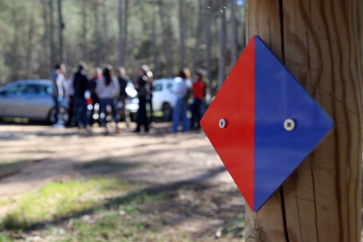 SOLSONA FM tweet media