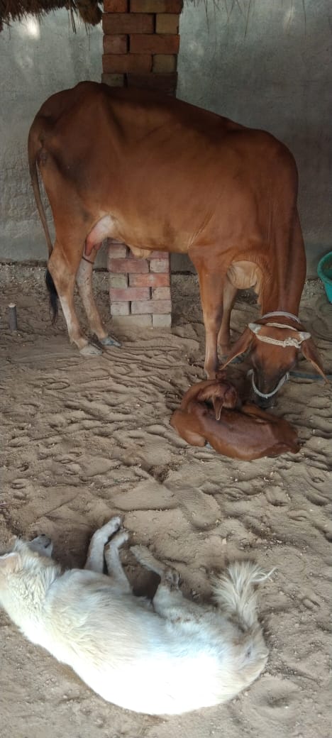 RAKESH KUMAR SEWALIA tweet media