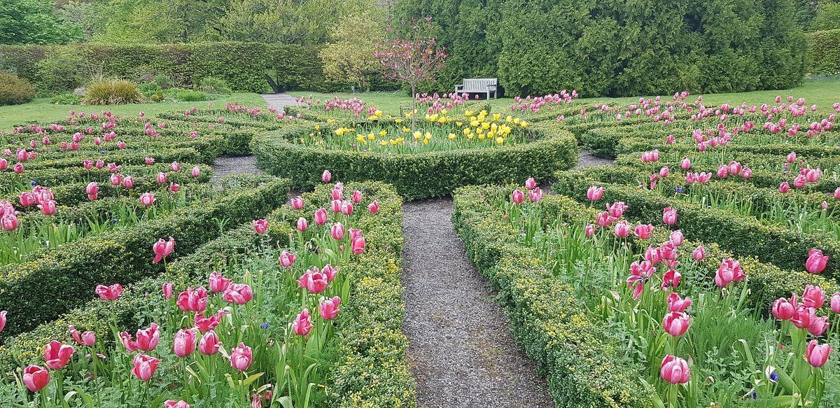 GoldenEraPics tweet media