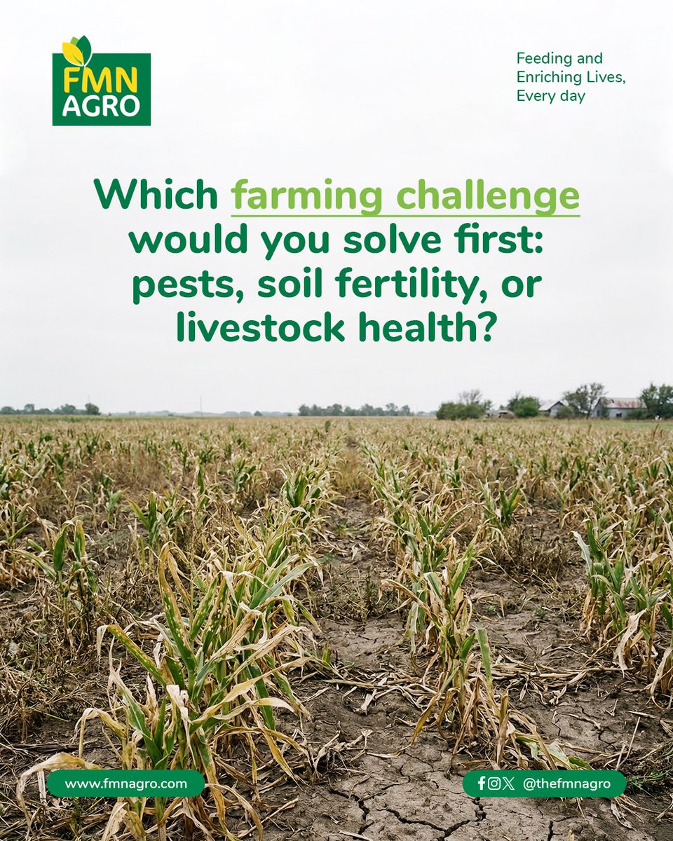 TheFMNAgro's tweet image. Every farm faces unique challenges, and every solution starts with a choice.

Are you focused on improving soil fertility, increasing yields, or ensuring healthy livestock?

What matters most on your farm right now?

Share with us in the comments. 🌱

#FMNAgro #FarmTalk
