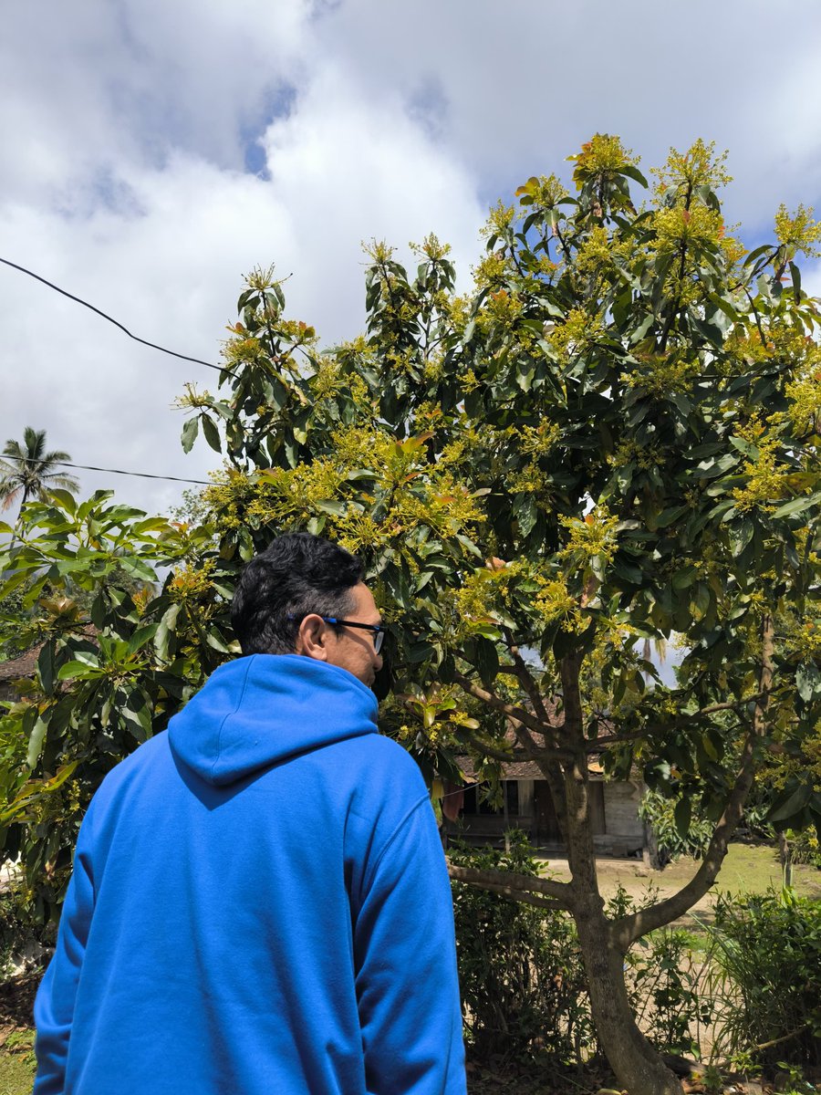 Simon Bebek ⋈ tweet media