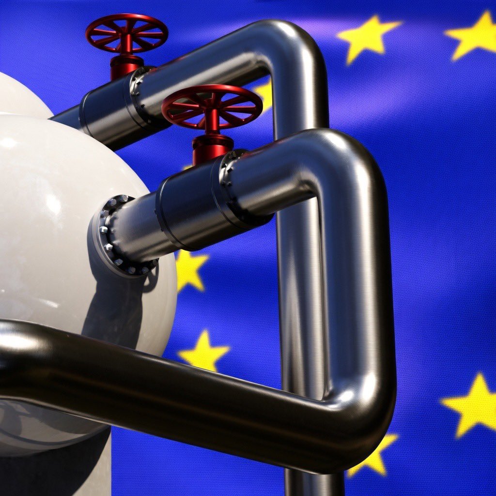 CryptoTweets | Whale Watch tweet media