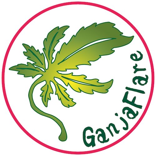 GanjaFlare 🥦 肉人形 🥦 $GANJA tweet media