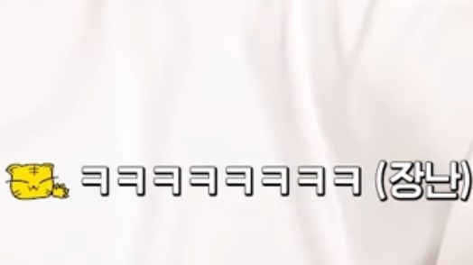 우지냥이 tweet media