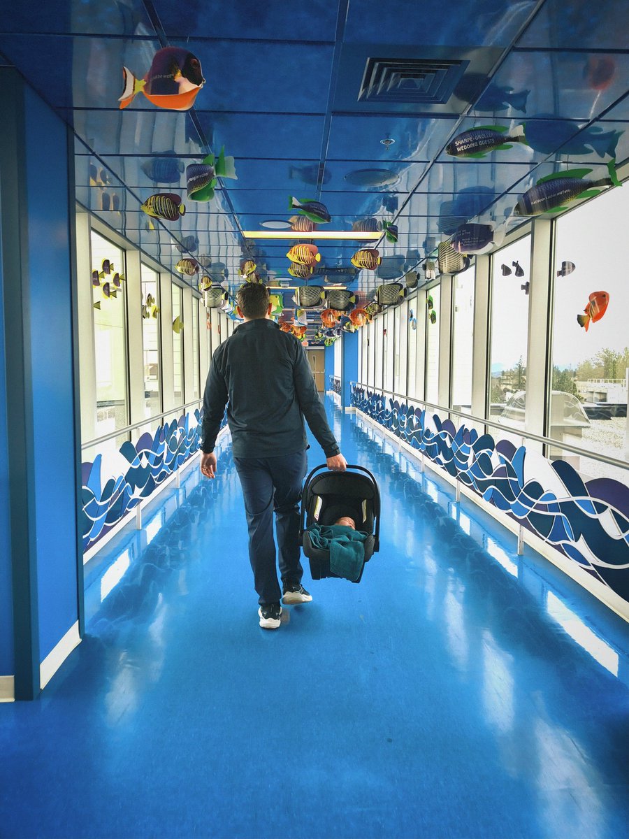 Taylor Crew tweet media