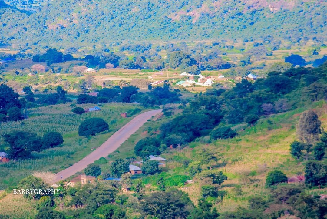 Beautiful Nigeria tweet media