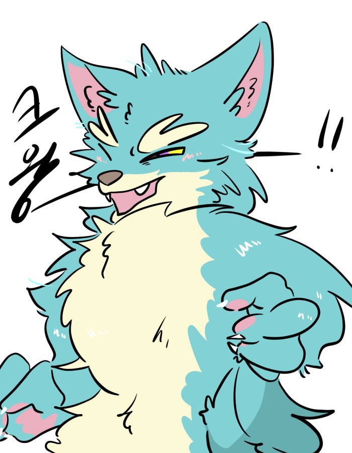 플러피🌕🐺 tweet media