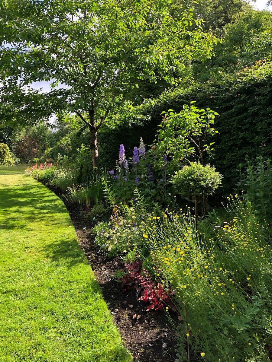 GoldenEraPics tweet media