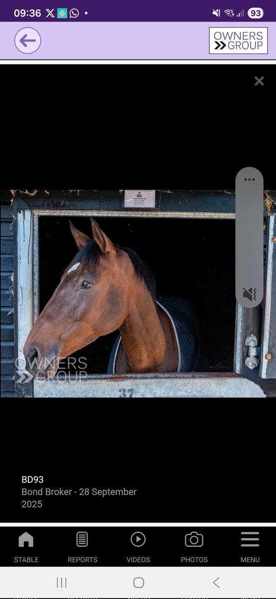 Scott 𓅪 tweet media