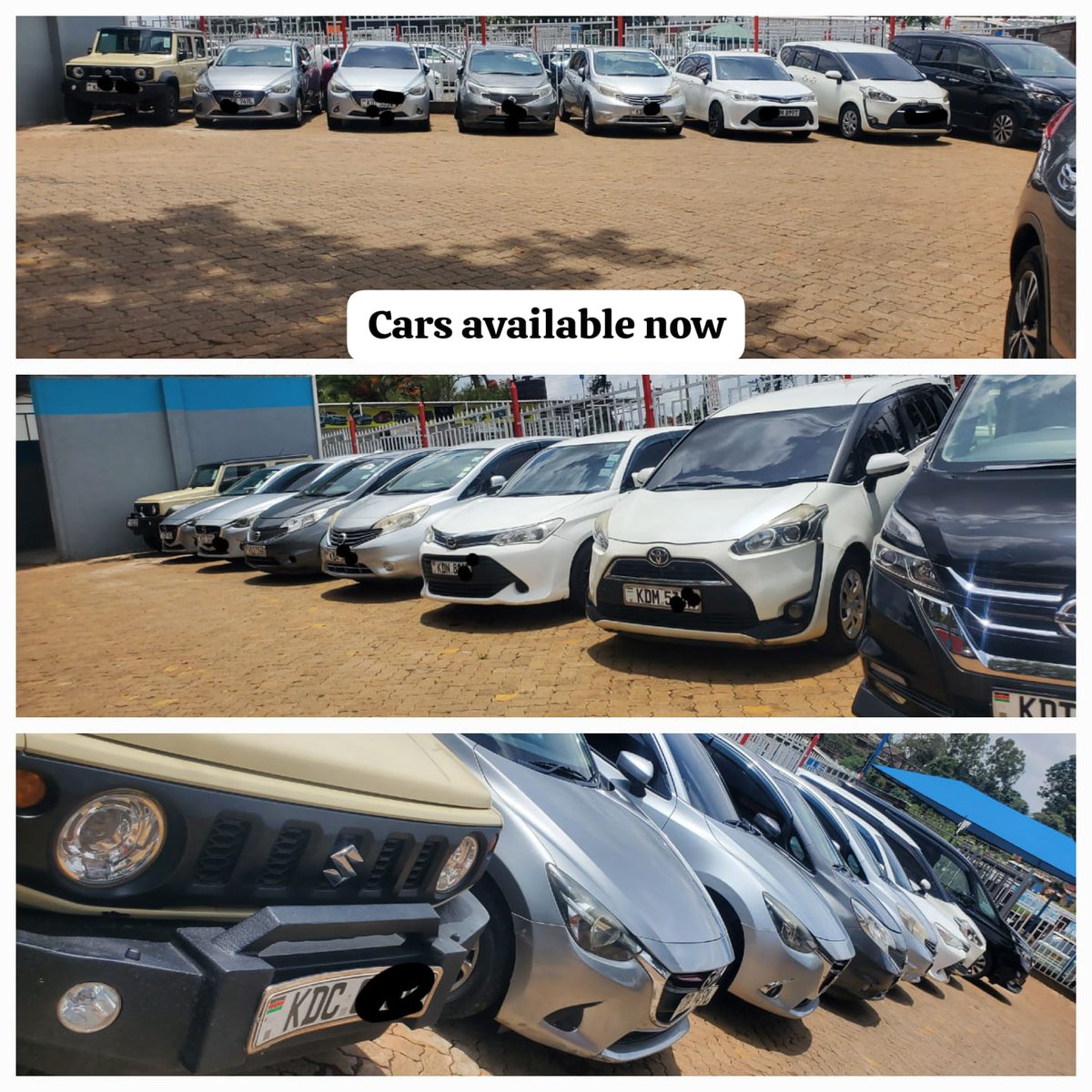 Joy Car hire tweet media