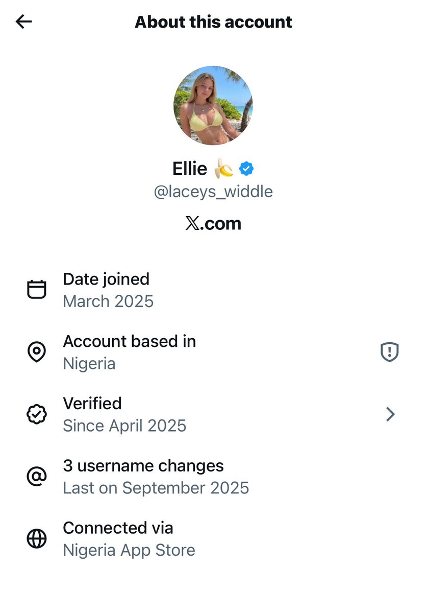 Bee 🐝 🇩🇴 tweet media