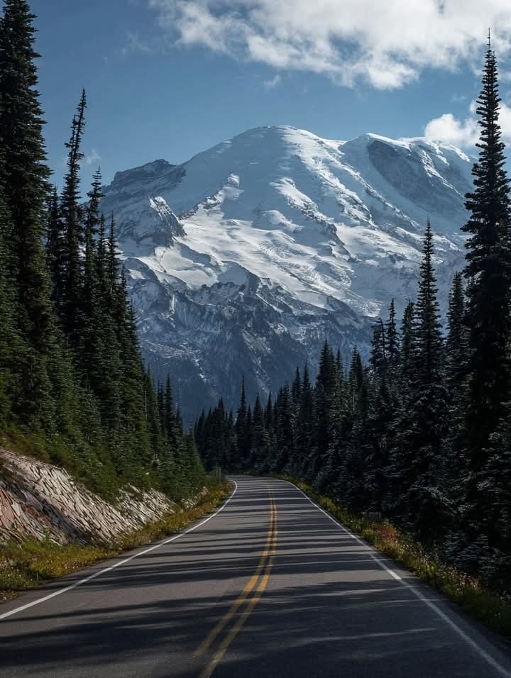 Purely Green tweet media