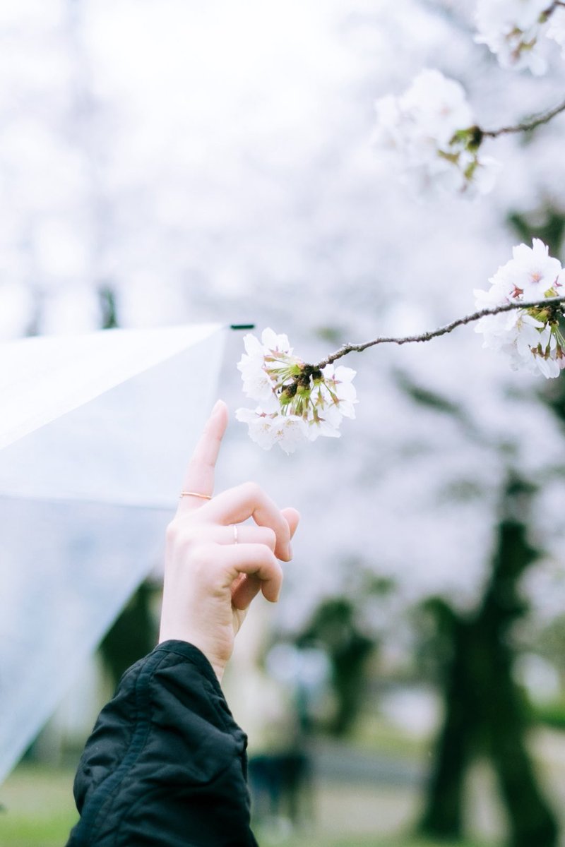 saisekai tweet media