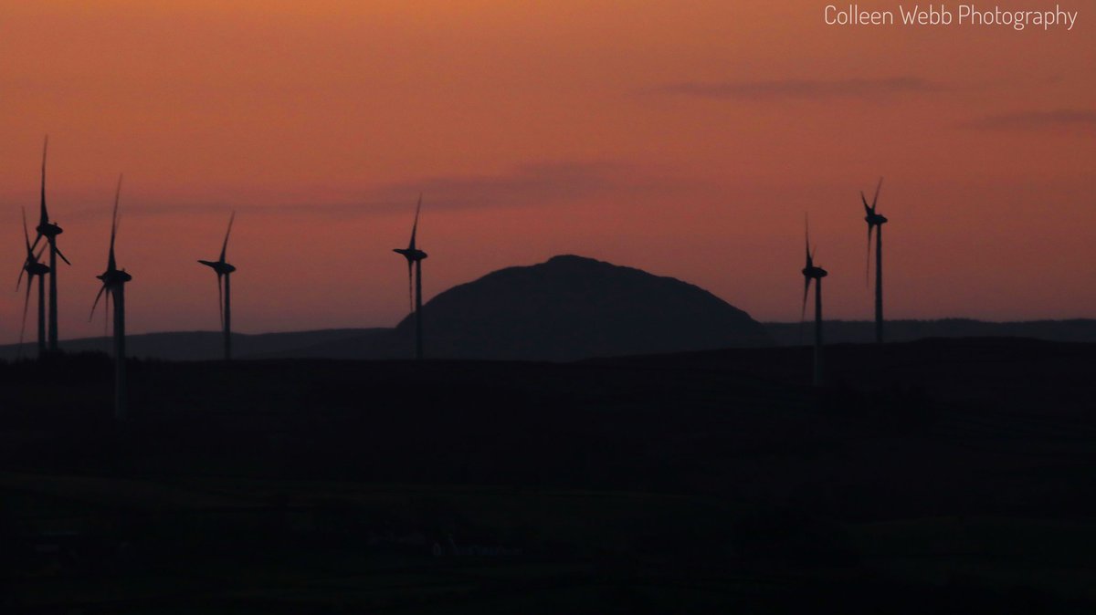 Colleen Webb tweet media