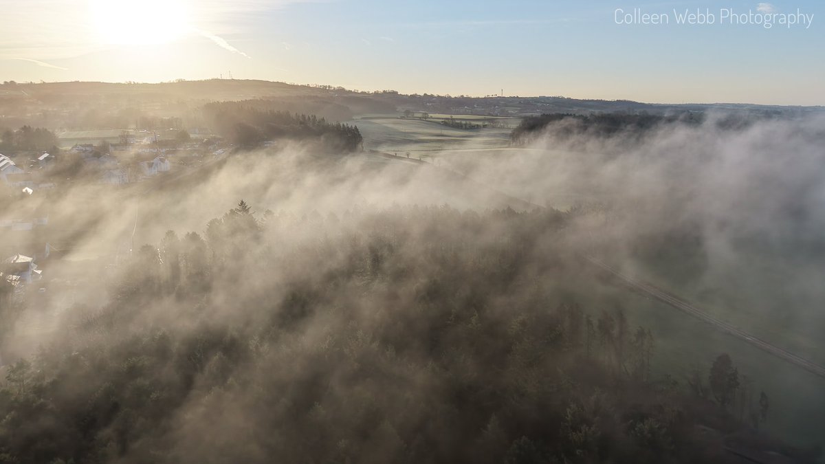 Colleen Webb tweet media