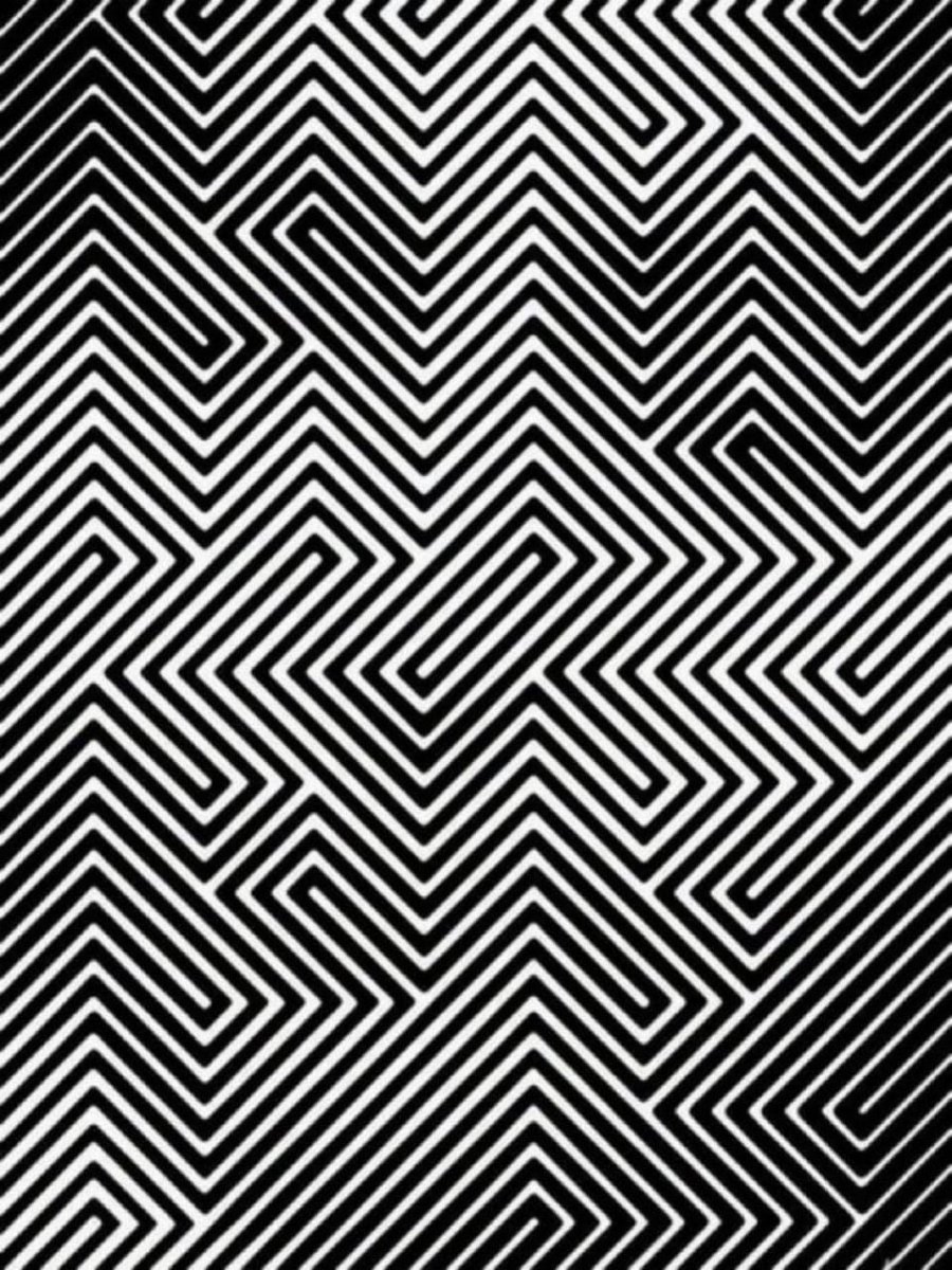 Axel Dawson🇺🇸 tweet media