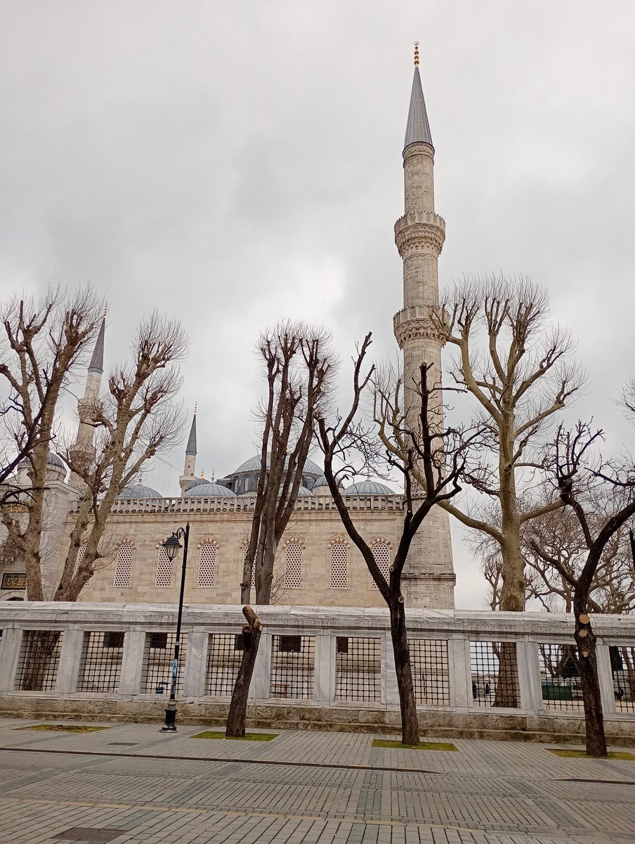 M Taurus tweet media