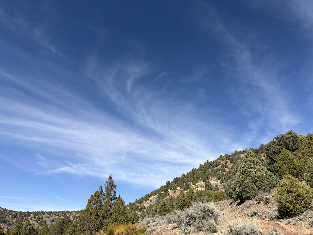 Model Y Maniac 🇺🇸 tweet media