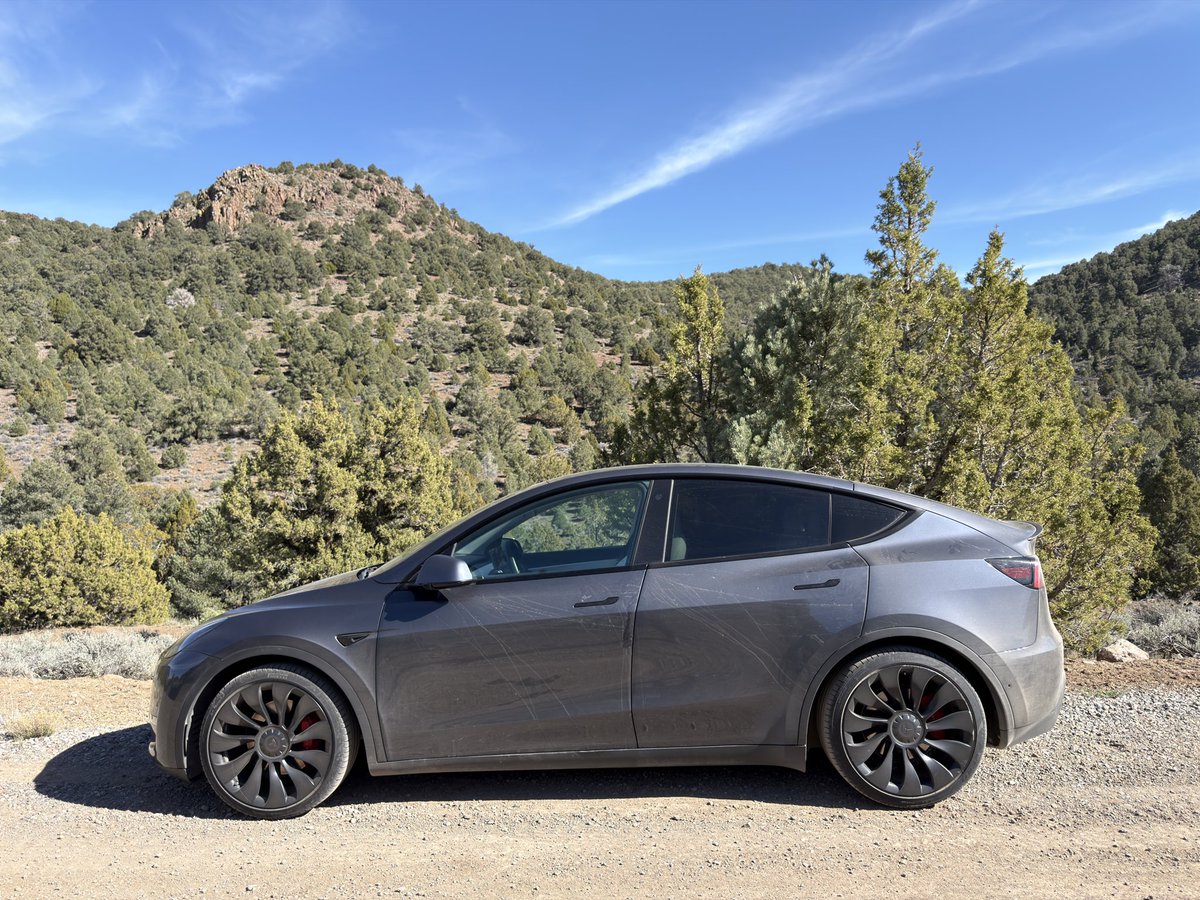 Model Y Maniac 🇺🇸 tweet media