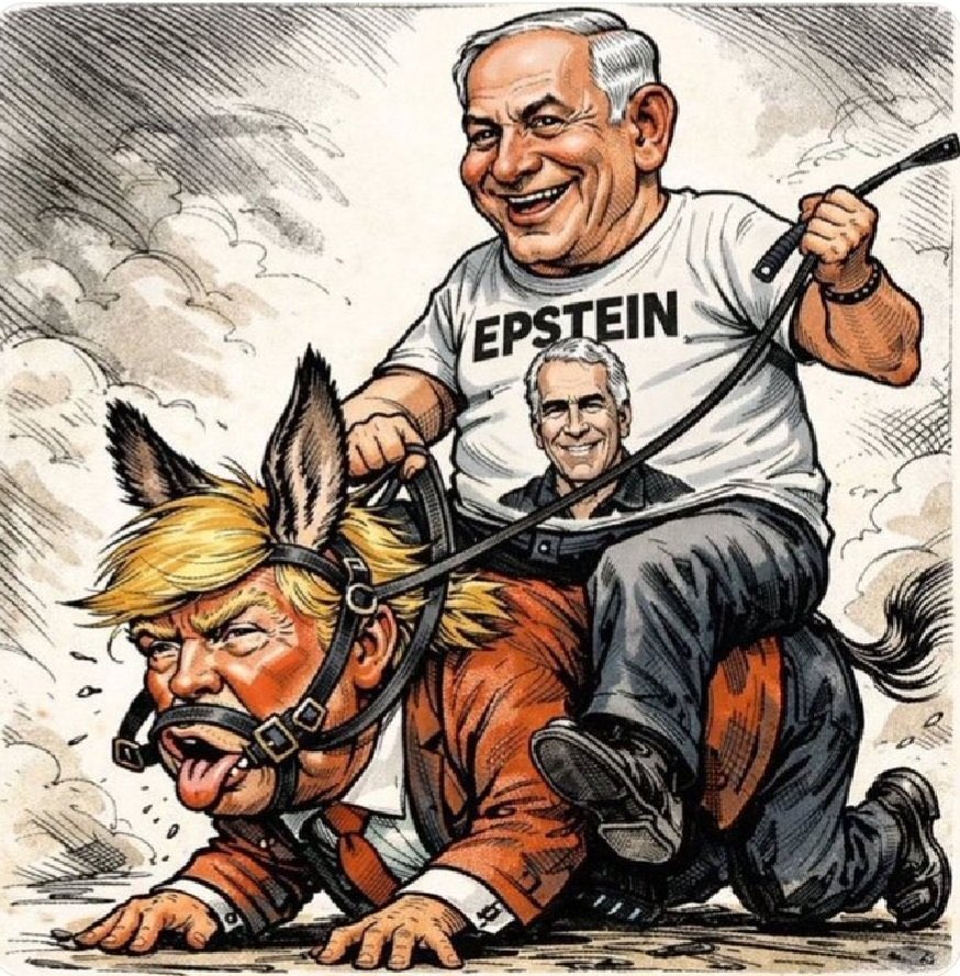 حسين tweet media