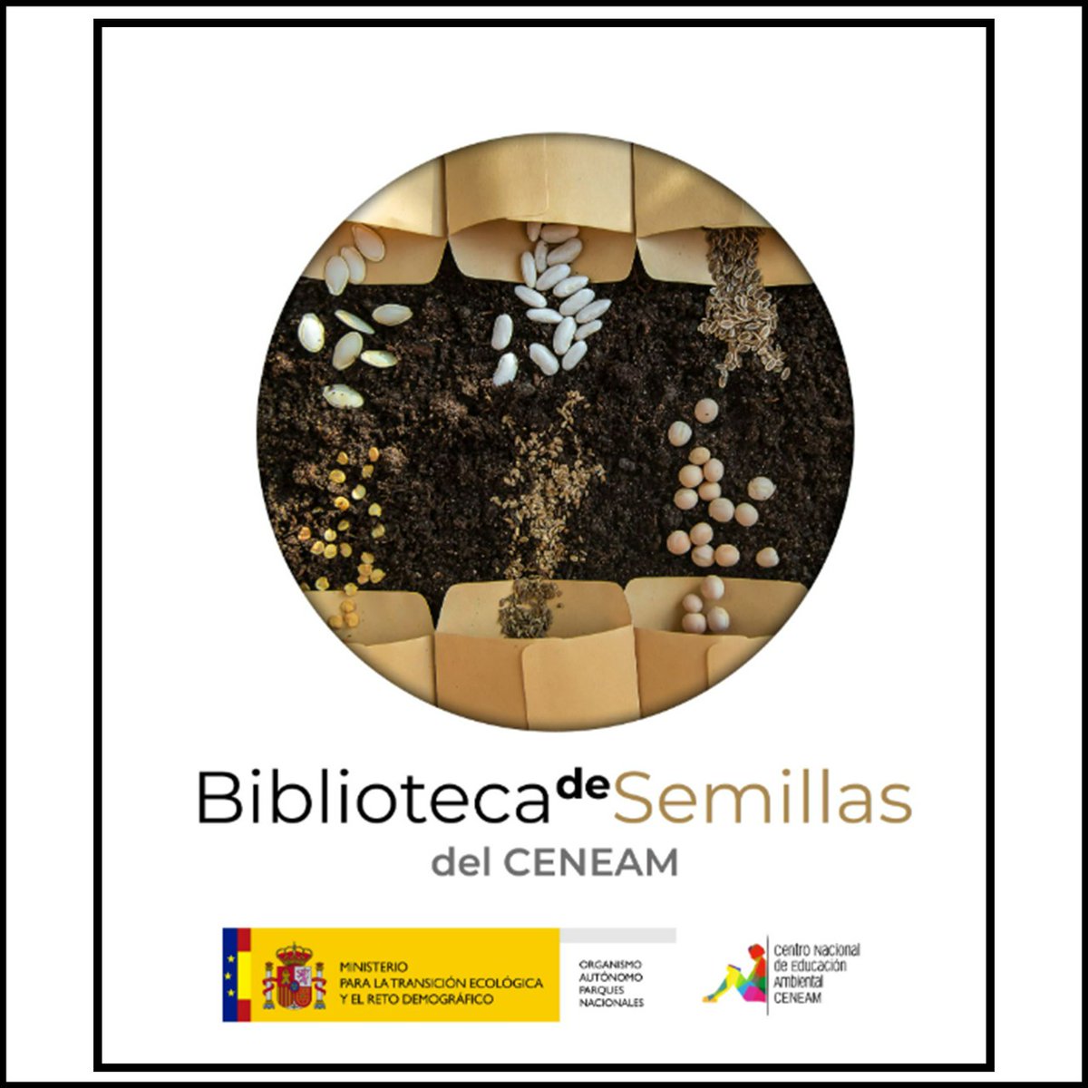 Colegio de Ingenieros Agrícolas del Centro tweet media