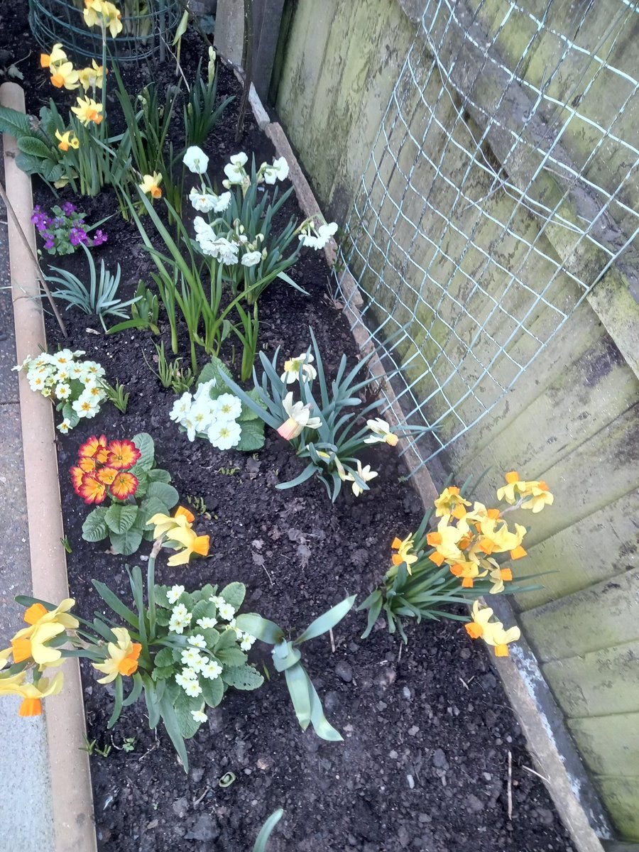 martynm700's tweet photo. #BritishSpring #BritishWeather
17c 63f like a May day in my area @BritWeatherSvs @bbcweather @Met4CastUK @MetRyan96 @MetMattTaylor @metoffice @UKWX_ @Official_WXUK @TWOweather https://t.co/VqeXoFJjhL