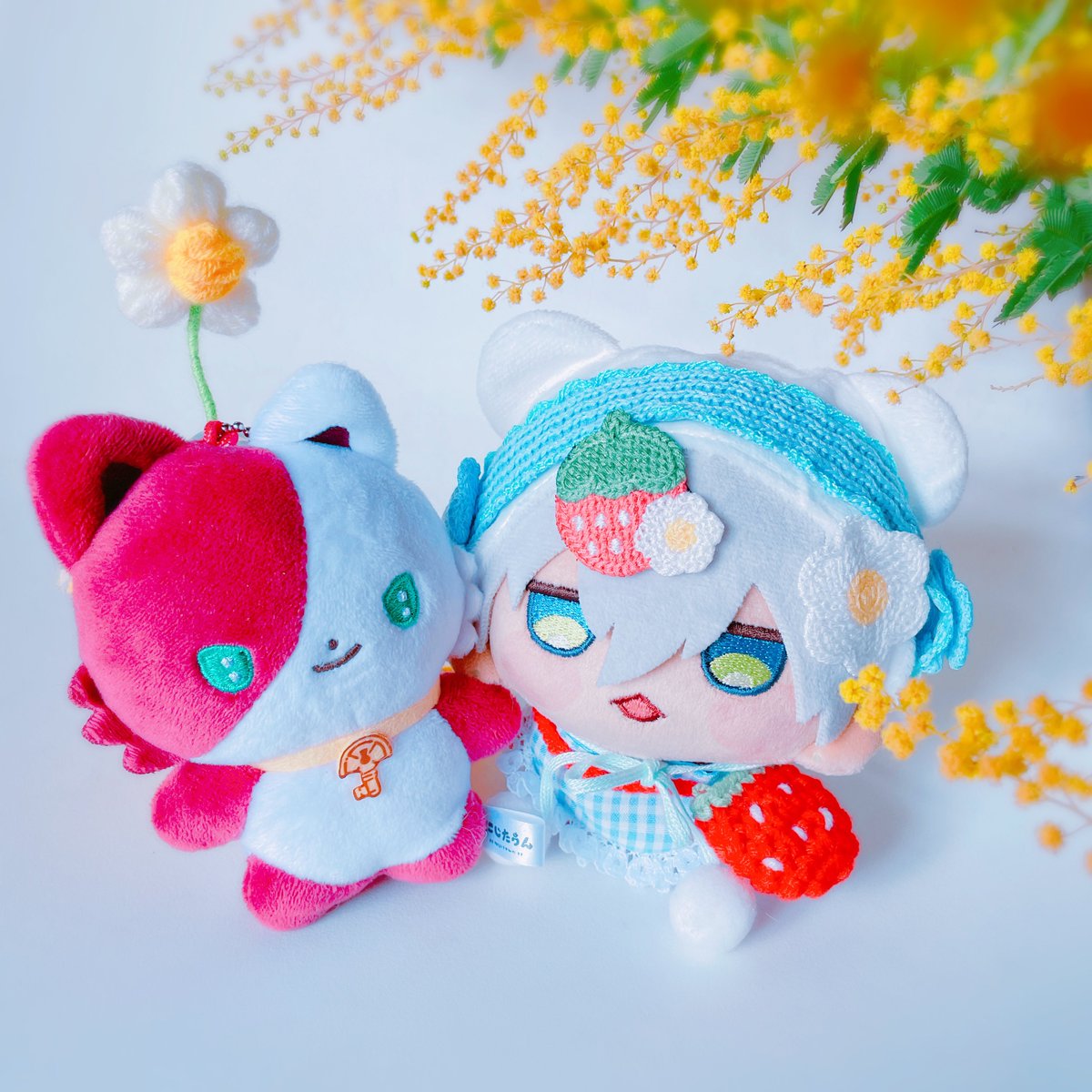 たすく=͟͟͞͞ 𒆙 tweet media