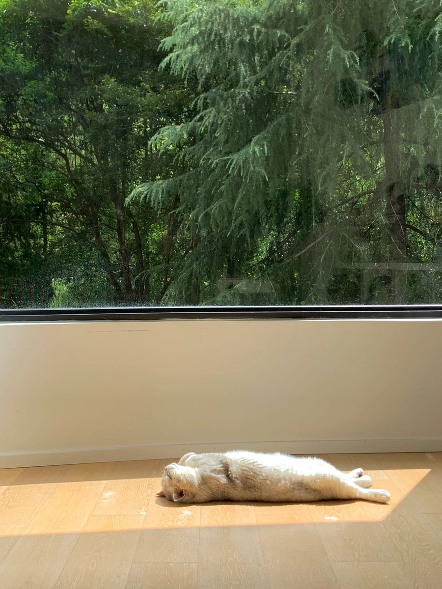 NATHAN HOOD tweet media