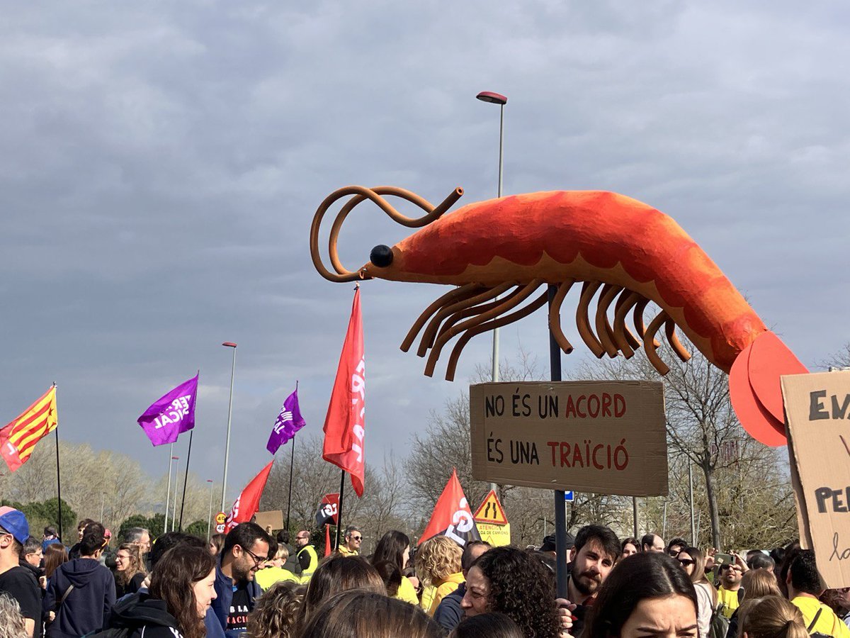 Intersindical Educació tweet media