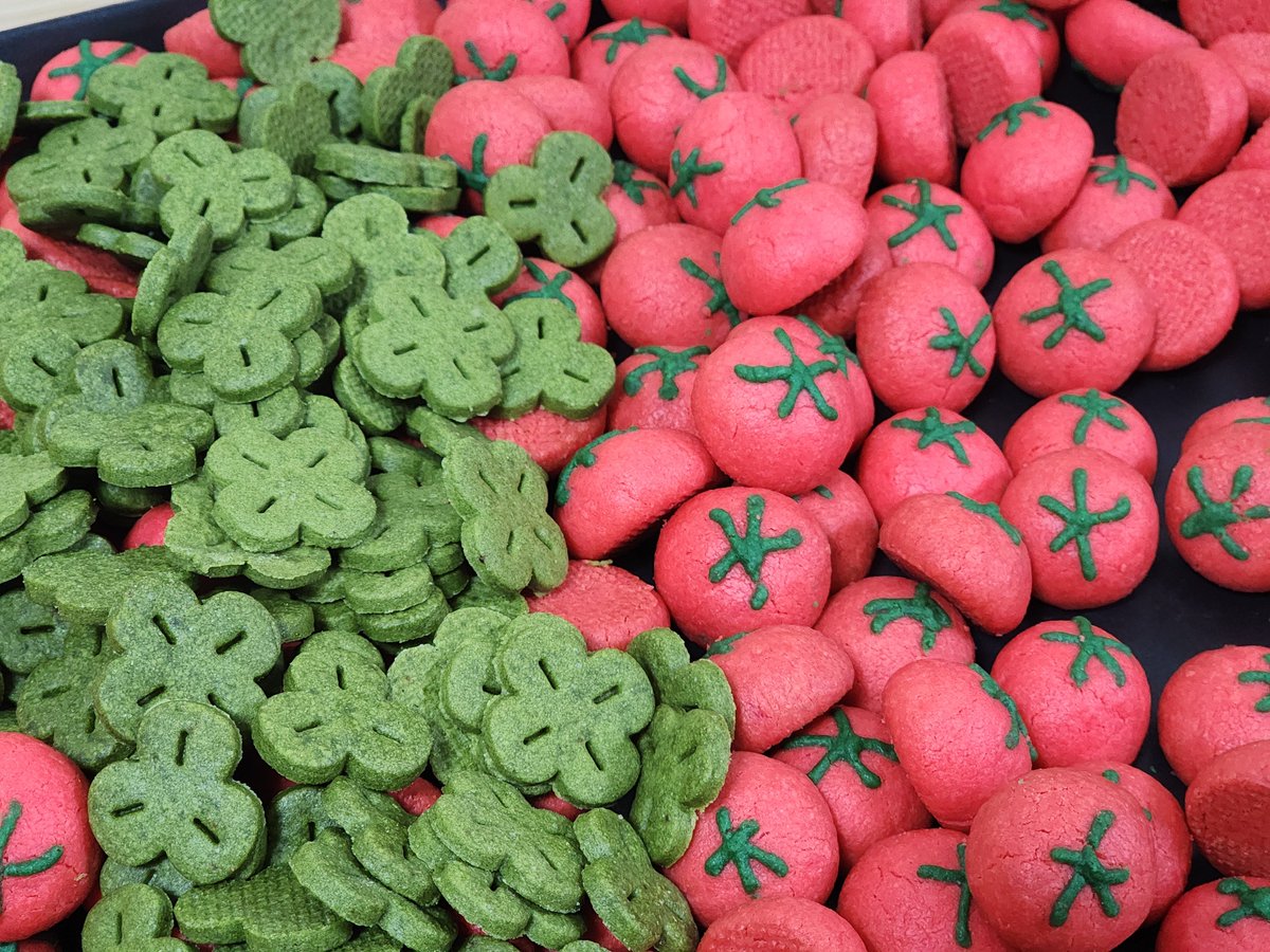 🍮뚜띠네 까까점 tweet media