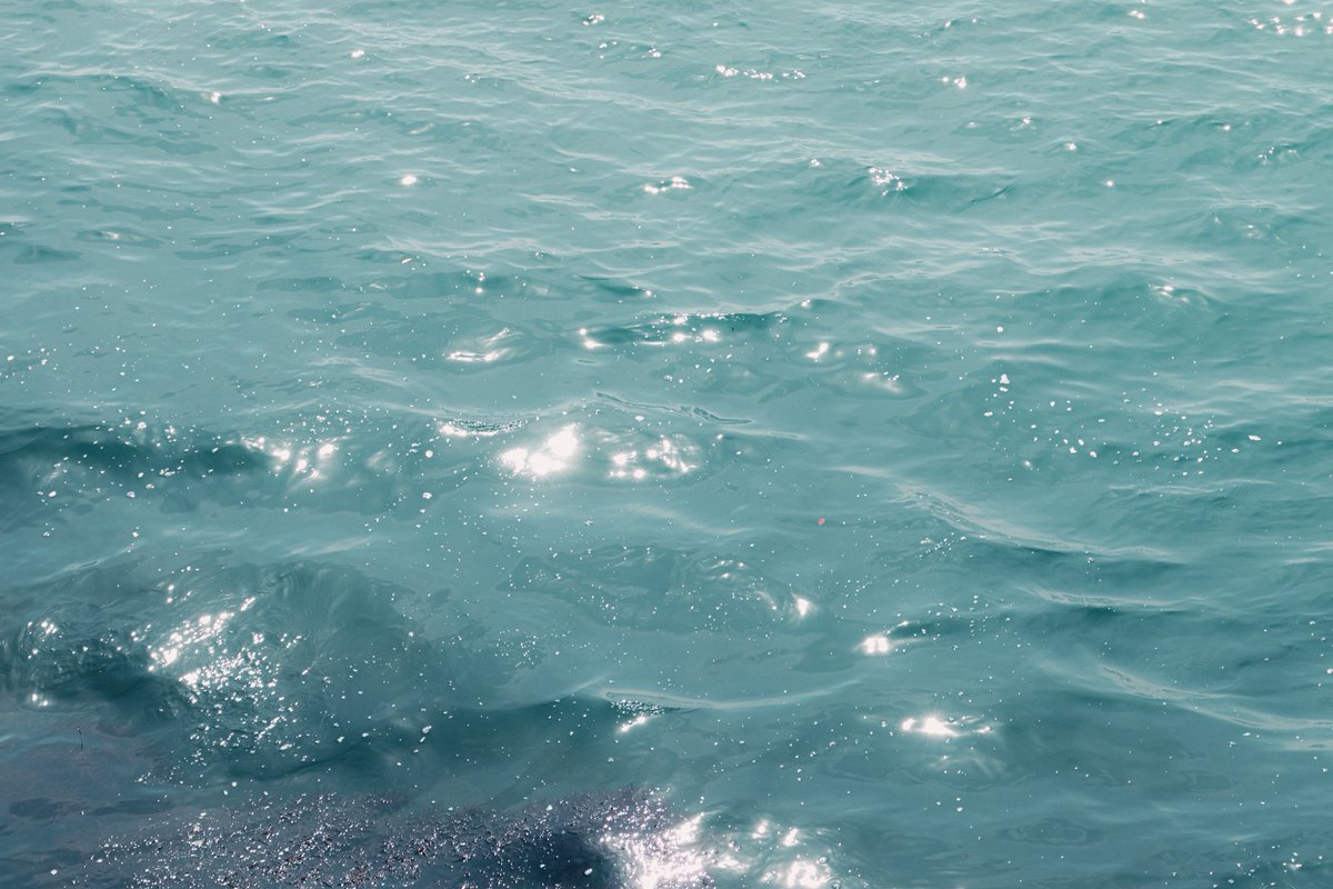 ぽてちー tweet media