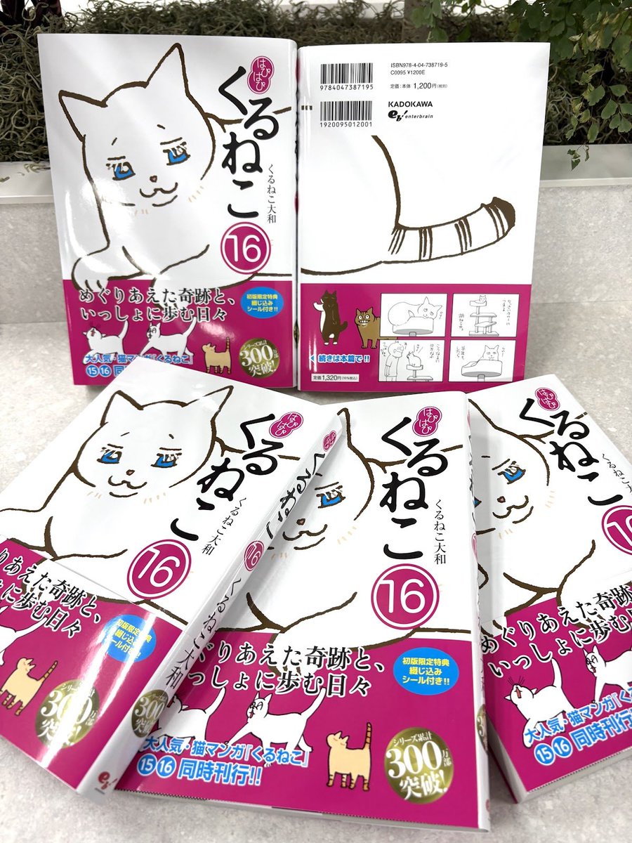 KADOKAWA ホビー書籍編集部 tweet media